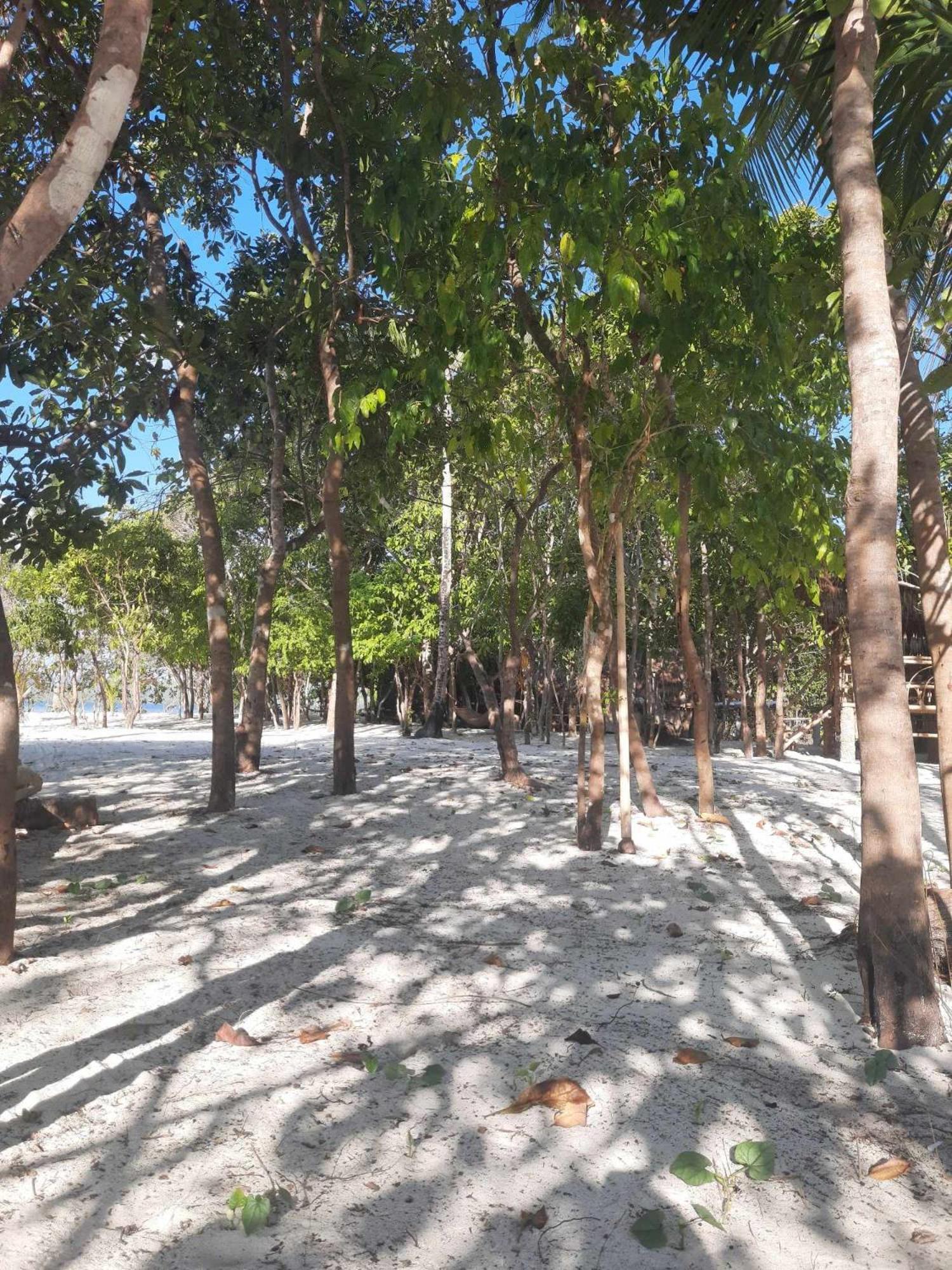 Dosplaya Ecocamp Hotel El Nido Buitenkant foto