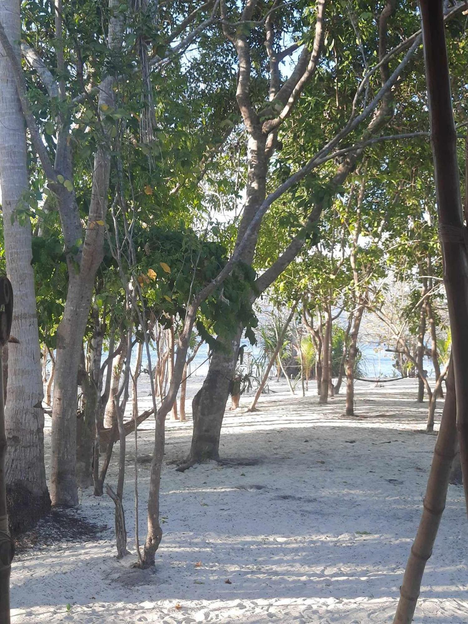 Dosplaya Ecocamp Hotel El Nido Buitenkant foto