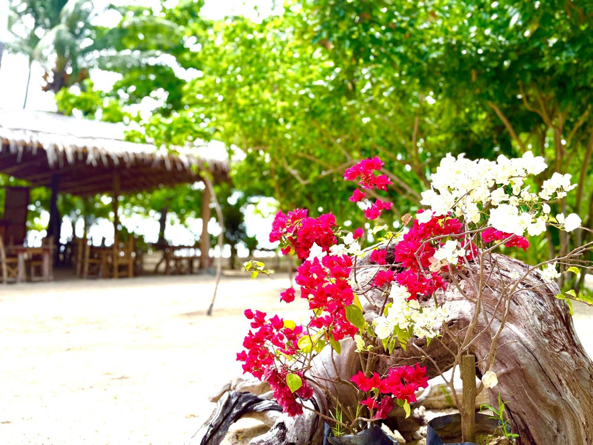 Dosplaya Ecocamp Hotel El Nido Buitenkant foto